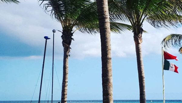 FB_IMG_1776023161266 - copia