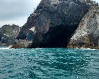 FB_IMG_1776023174076