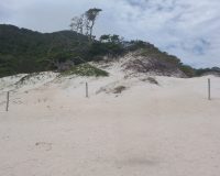 FB_IMG_1776023208508