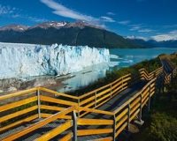 calafate4